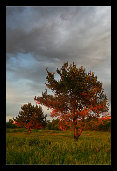 photo "#" tags: landscape, summer