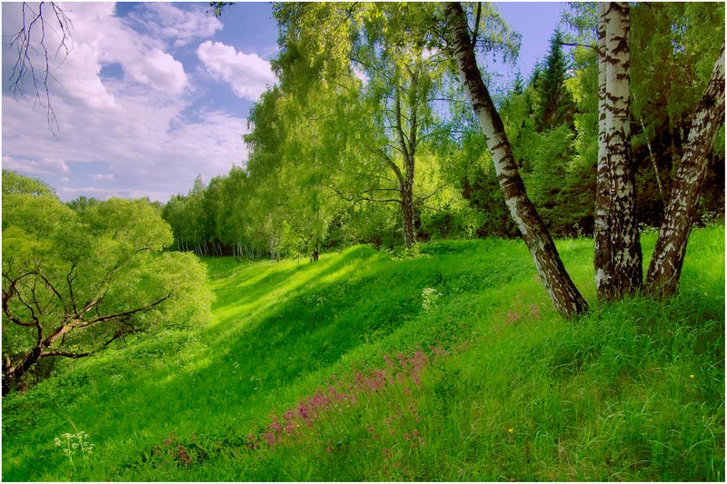 photo "Summer day" tags: landscape, summer