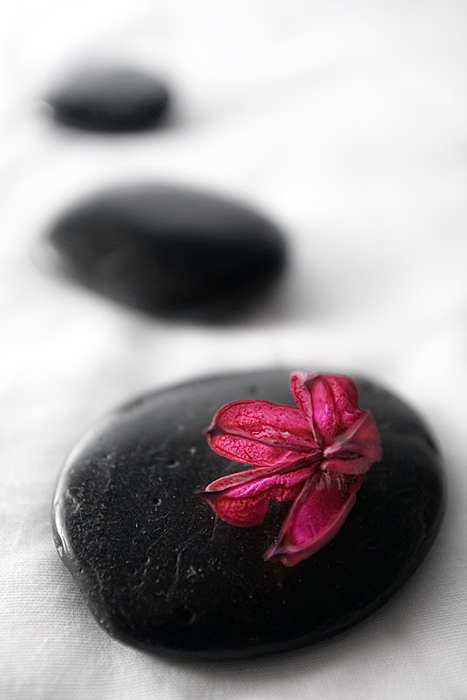 photo "Stones and spirit" tags: macro and close-up, still life, 