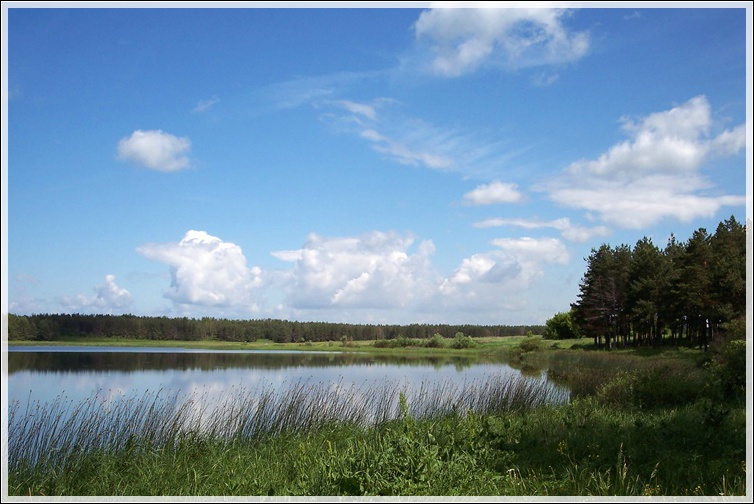 photo "At lake" tags: landscape, summer, water