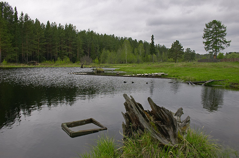 photo "at the back of village" tags: landscape, forest, water