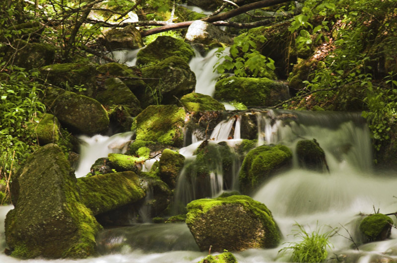 photo "***" tags: landscape, summer, water