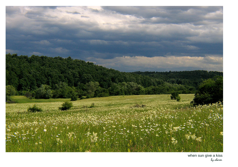 photo "***" tags: landscape, summer