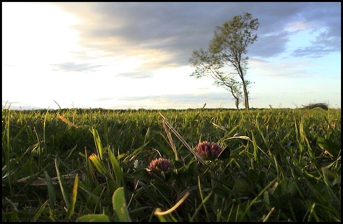 photo "***" tags: landscape, summer