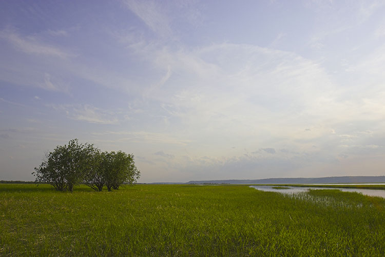 photo "***" tags: landscape, summer