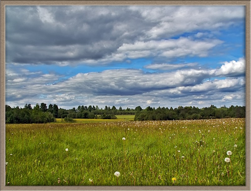 photo "Time of a haymaking" tags: landscape, summer