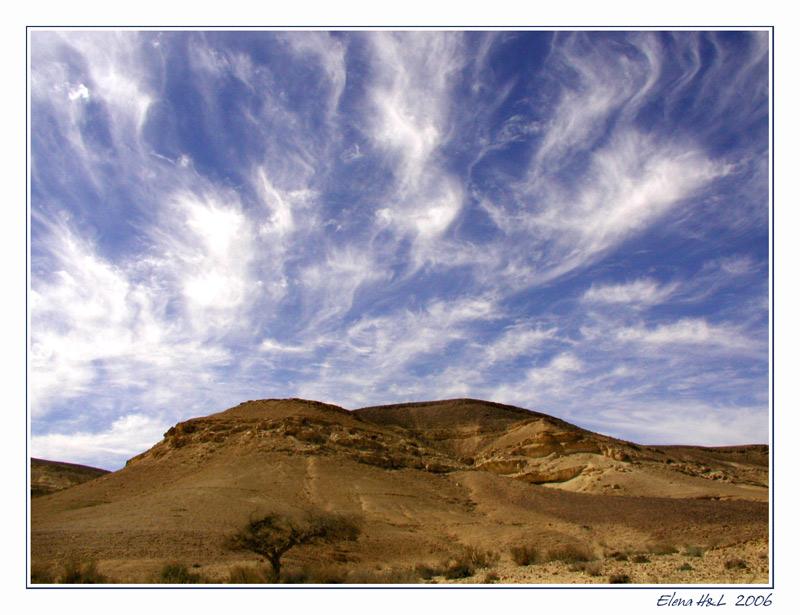 photo "Alone with desert" tags: landscape, travel, 