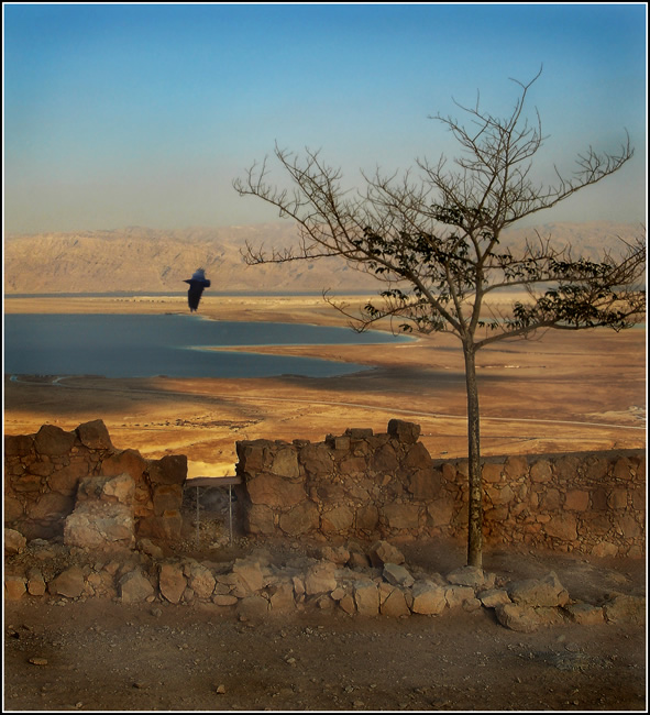 photo "Masada 2" tags: landscape, travel, 