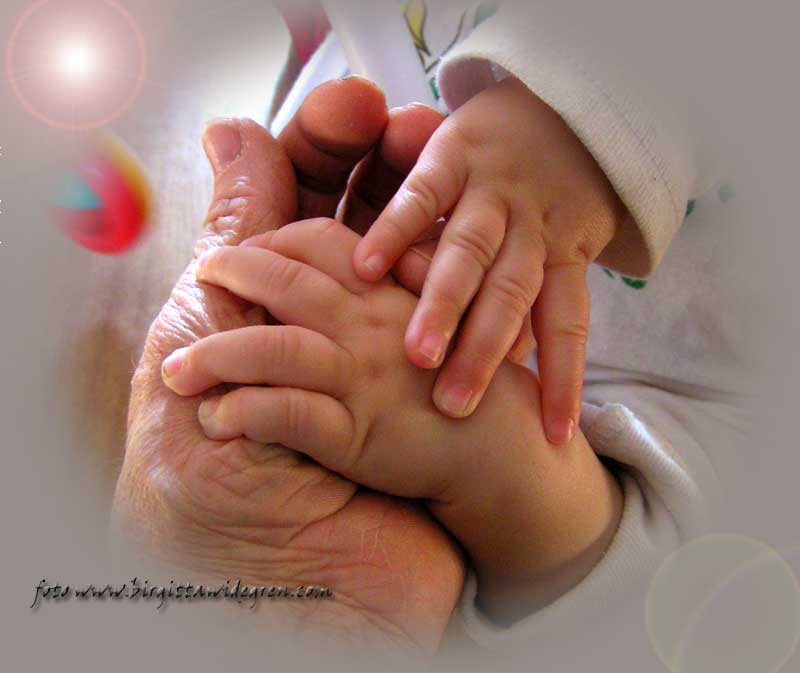 фото "my sweet grandchild" метки: натюрморт, 