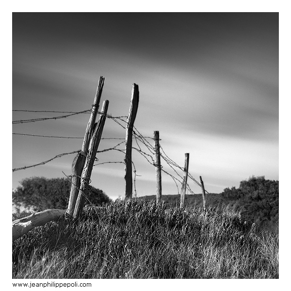 photo "Afternoon walk" tags: landscape, spring