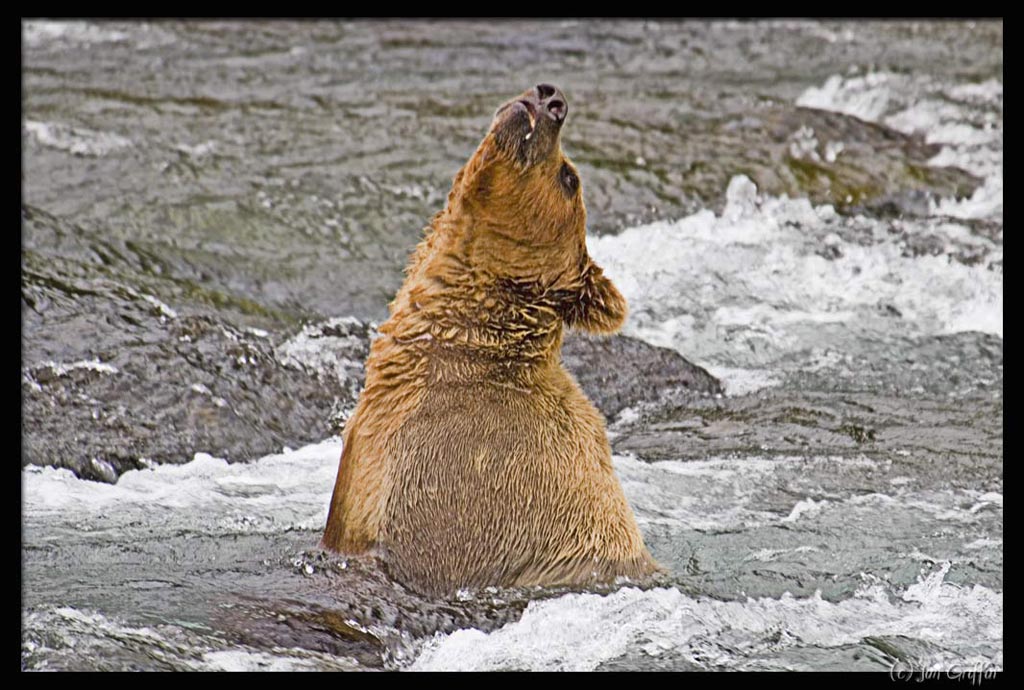 photo "Nothing like a good stretch in the jacuzzi" tags: nature, wild animals