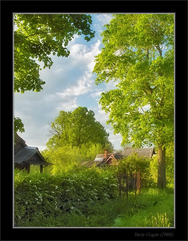 photo "Village summer sketch" tags: landscape, summer