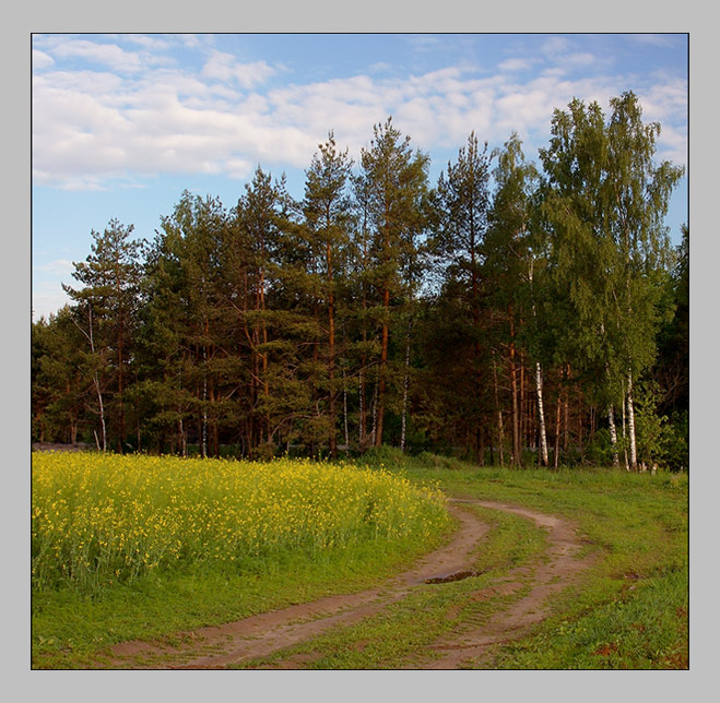 фото "У дороги.." метки: пейзаж, лето