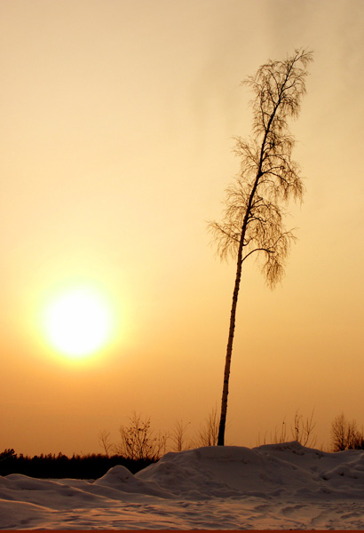 photo "Shines, but does not warm." tags: landscape, sunset, winter