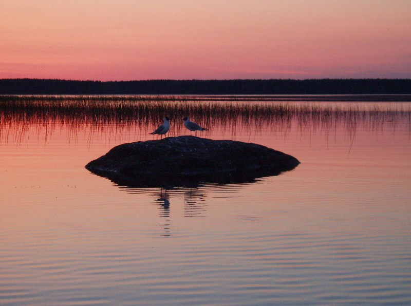 photo "***" tags: landscape, night, water