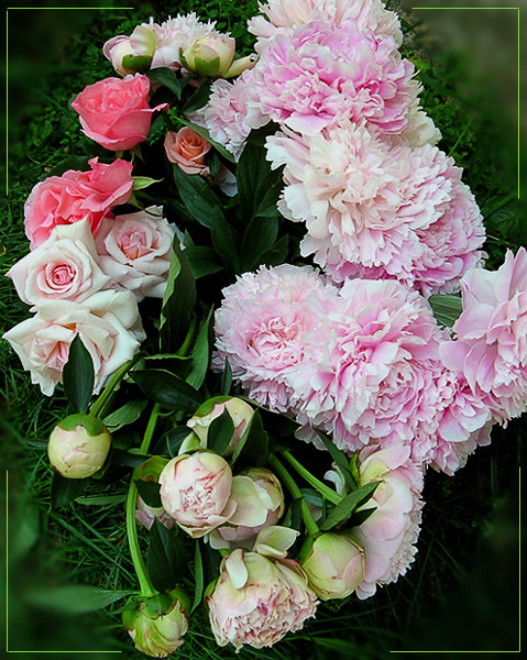 фото "Pink posy" метки: природа, цветы