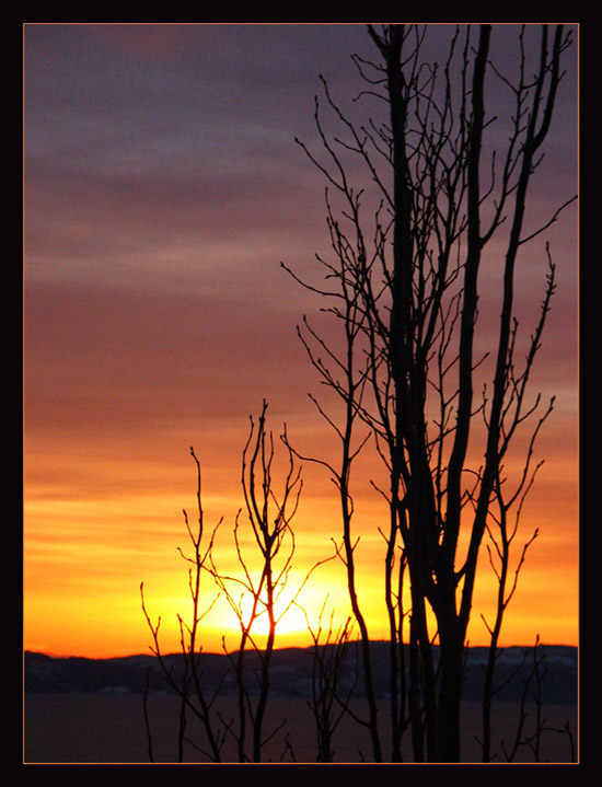 photo "Pastel Sky" tags: landscape, sunset