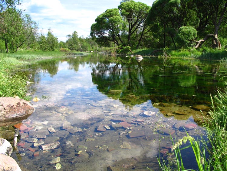 photo "trout pond" tags: landscape, travel, Europe, summer