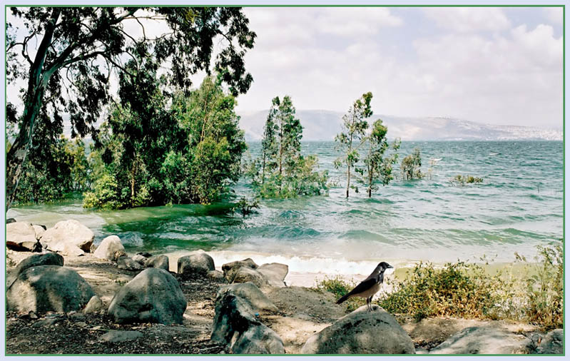 photo "Kineret" tags: landscape, nature, water