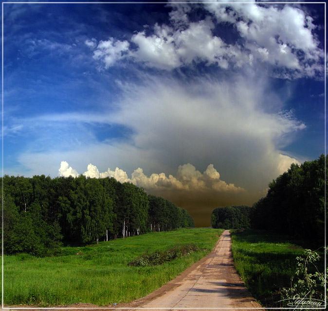 photo "Upward." tags: landscape, clouds, forest