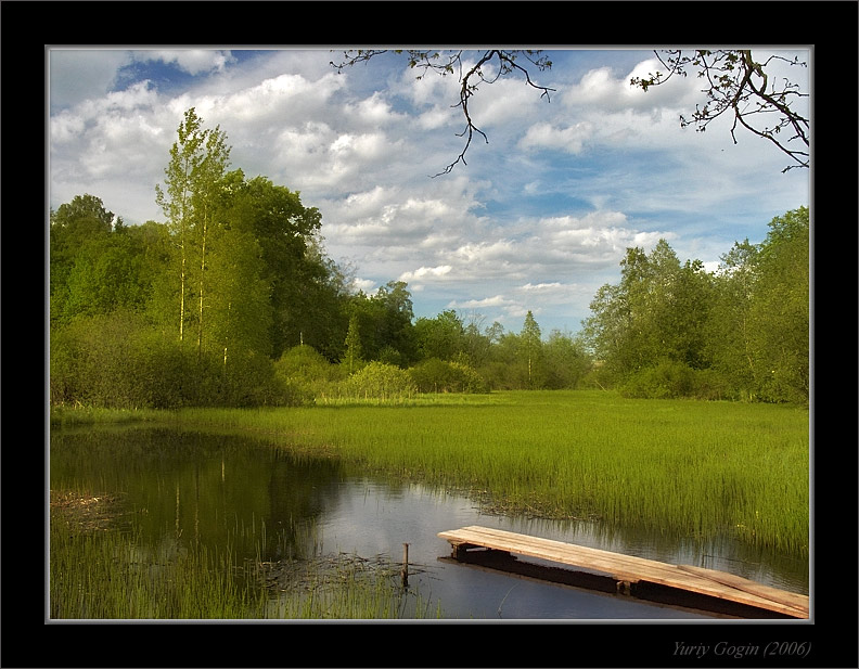 photo "Summer etude" tags: landscape, summer, water