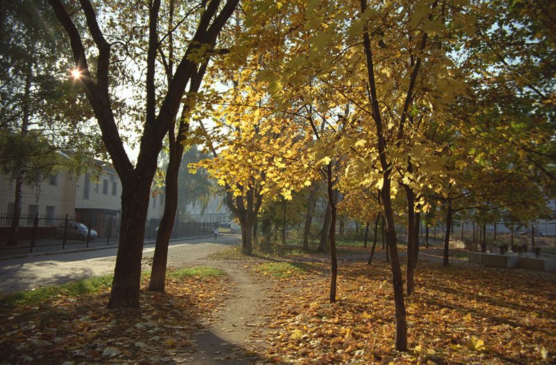 фото "Осень в московском сквере" метки: пейзаж, осень