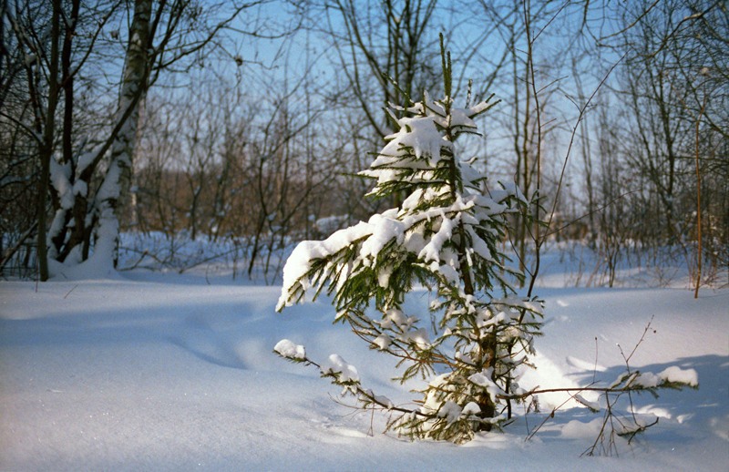 photo "Winter album" tags: landscape, winter