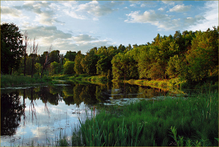 photo "In the summer evening" tags: landscape, summer, water