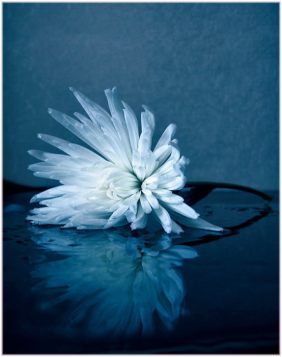 photo "***" tags: still life, 