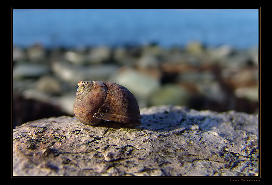 photo "Sea life..." tags: nature, travel, Europe