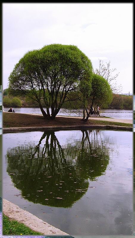 фото "Отражение" метки: пейзаж, весна, вода