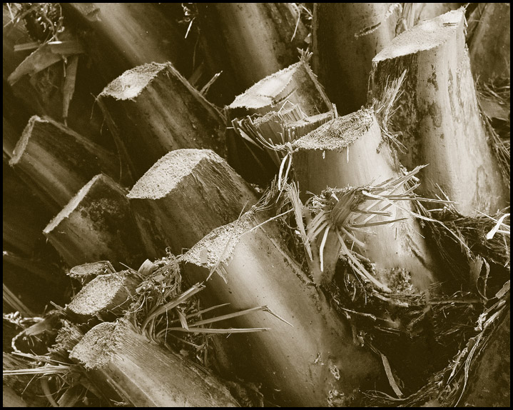 photo "Picture in abstract style -  4" tags: abstract, black&white, 