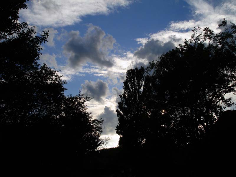 photo "Eddy" tags: landscape, clouds, forest