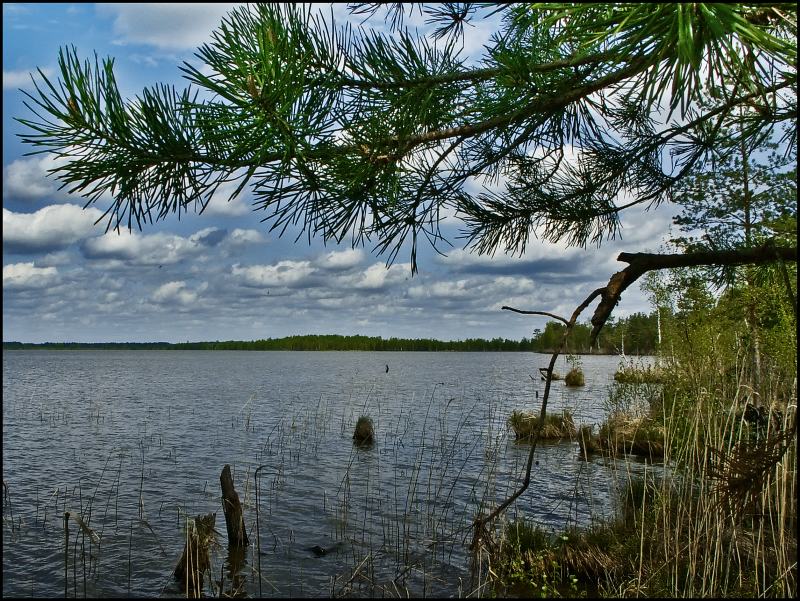 photo "Far territory" tags: landscape, water