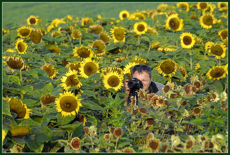 photo "Colleague" tags: nature, flowers