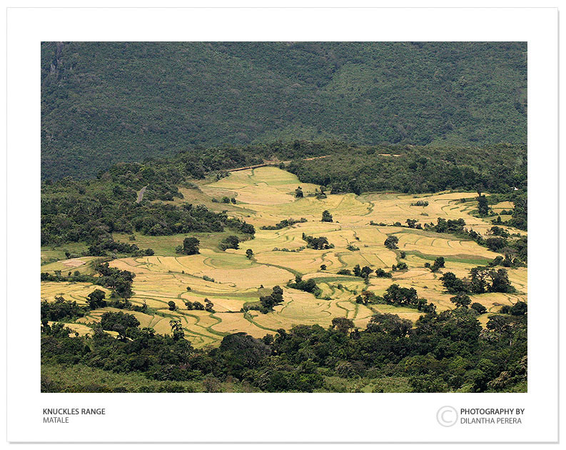 photo "nuckles" tags: landscape, mountains