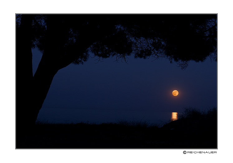 photo "Moon over Corse" tags: landscape, travel, Europe, night