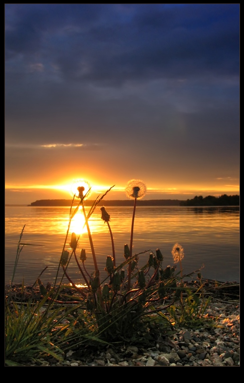 photo "Once upon a time..." tags: landscape, nature, flowers, sunset