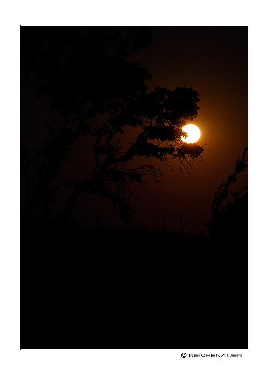 photo "Moon over Corse I" tags: landscape, travel, Europe, night