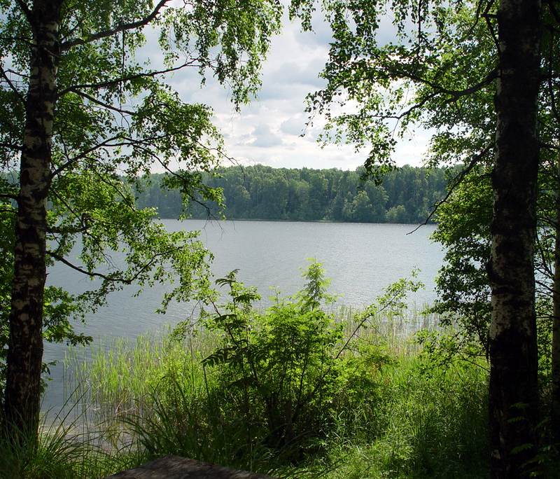 photo "Valdai. Lake the Supper. 2006" tags: landscape, summer