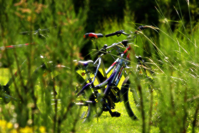 photo "Halt" tags: misc., 