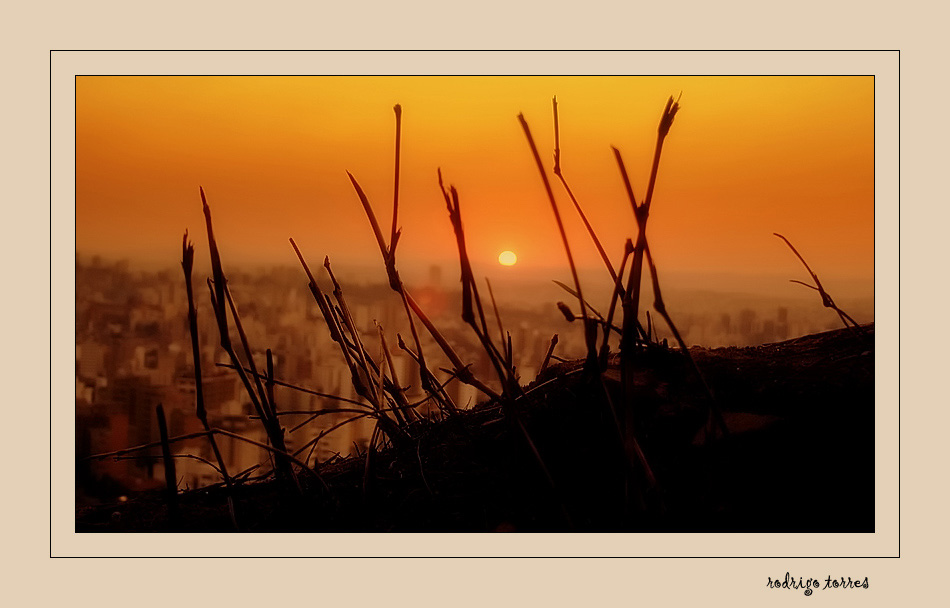 photo "the city beyond the jungle" tags: landscape, sunset