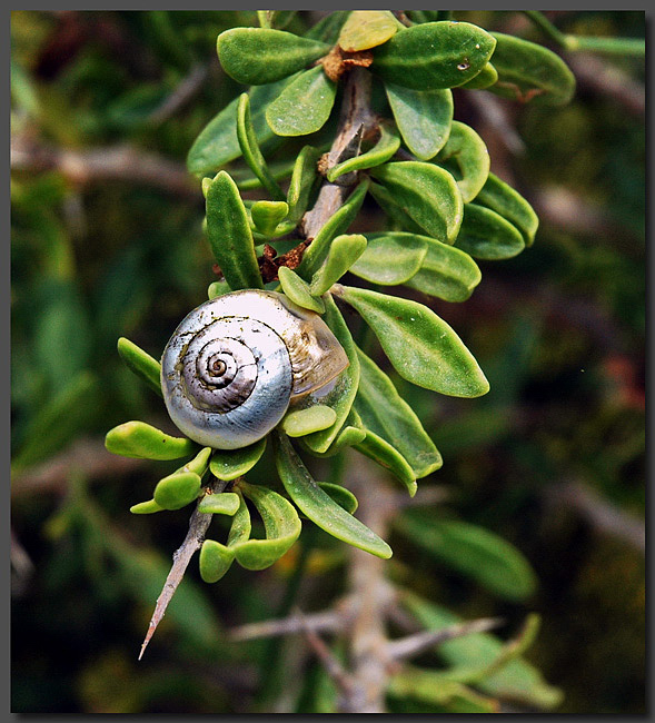 photo "At Breakage" tags: nature, travel, 