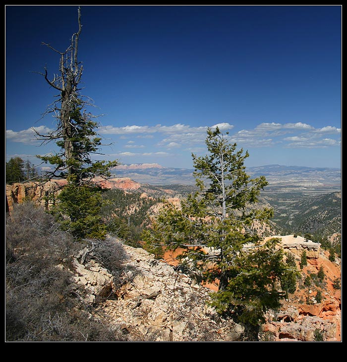 photo "Bryce Canyon's View" tags: landscape, mountains