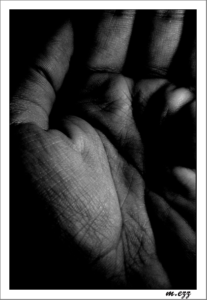 photo "Hand Lines" tags: abstract, still life, 