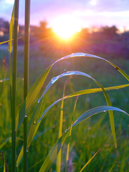 photo "***" tags: landscape, sunset