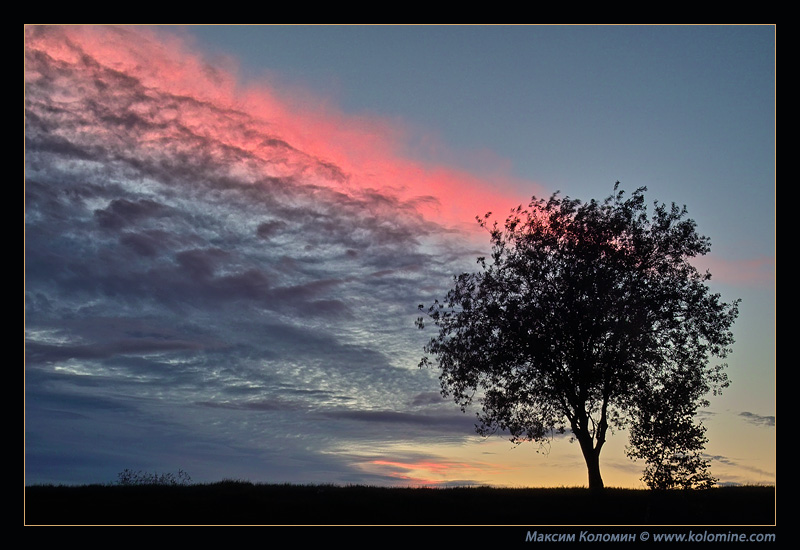 photo "Solomon's Seal" tags: landscape, sunset