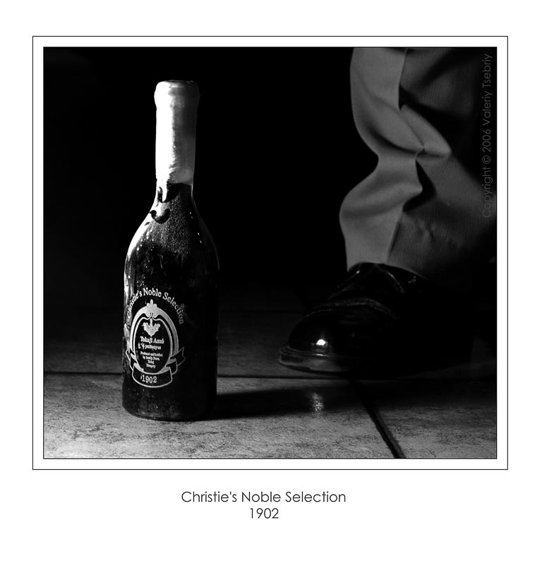 photo "Christie's Noble Selection" tags: genre, black&white, 