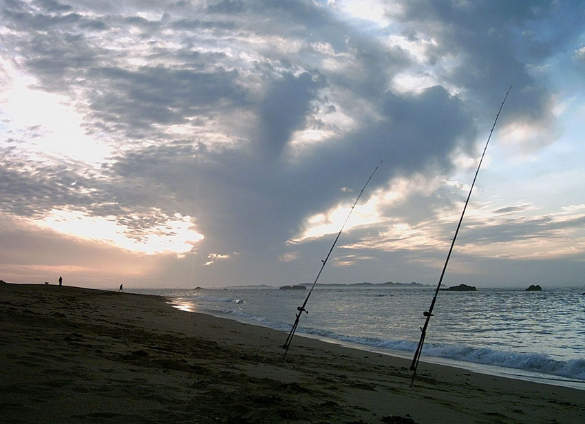 photo "Couple with a dog." tags: landscape, sunset, water
