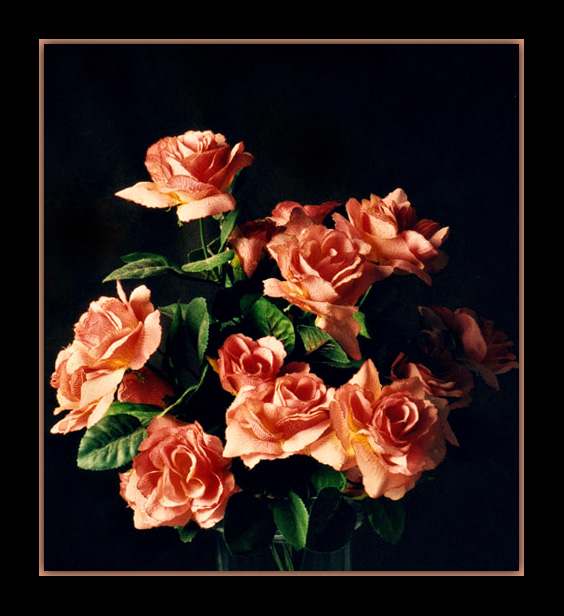 фото "Roses for a lady...Happy Birthday, Berenice!" метки: натюрморт, 